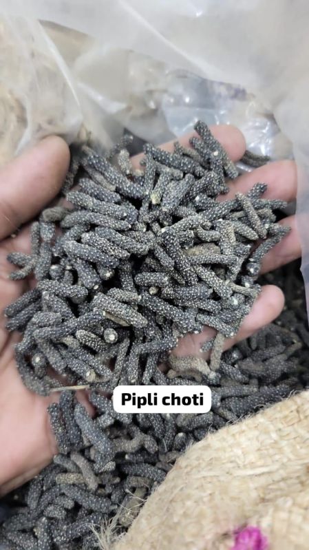 Black Choti Peepli