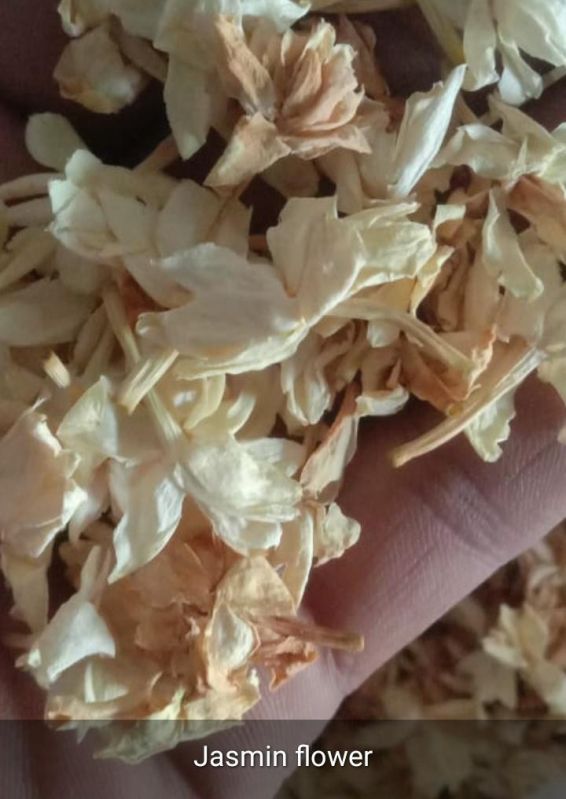 Dried Jasmine Flower
