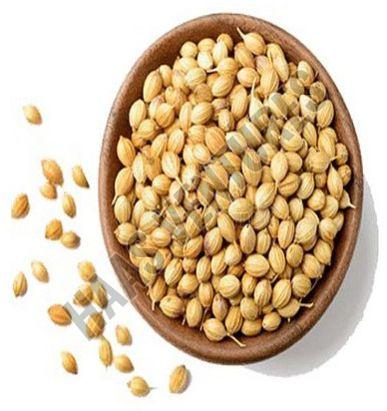 coriander seeds