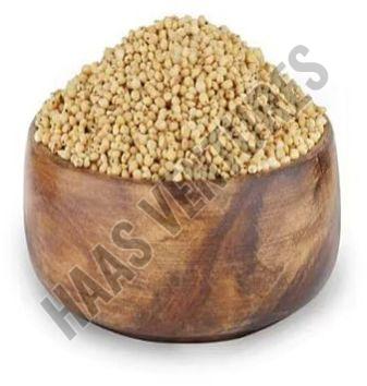 sorghum millet seeds