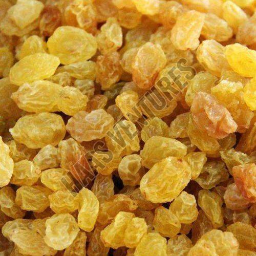 Yellow Dried Raisin