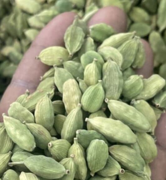 green cardamom