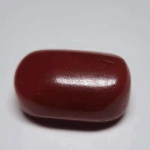 16 Ratti Ox Blood Red Coral for Jewelry