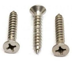 Csk Philips Self Tapping Screw
