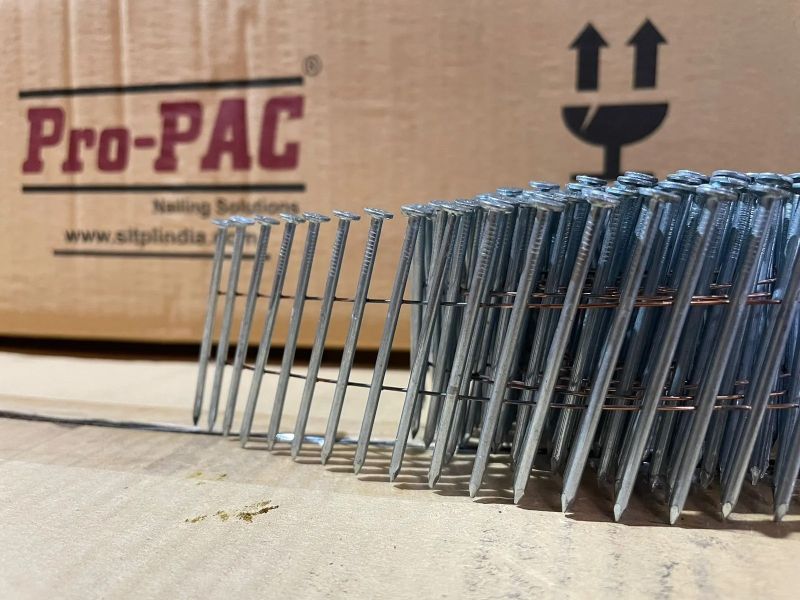 Galvanized Coil Nails