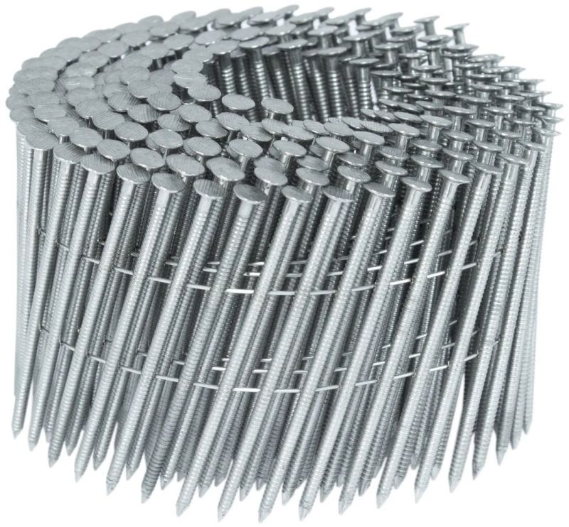 SS Coil Nails