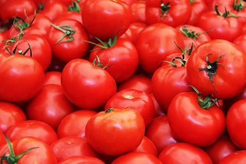 A Grade Fresh Tomato, Color : Red, Certification : FSSAI Certified