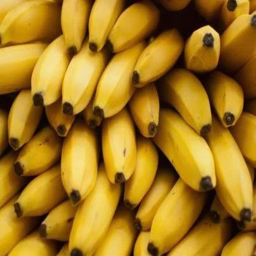 Best Quality Yellow Banana, Packaging Size : 25Kg, 50Kg