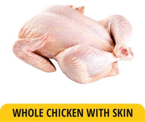 Whole Frozen Chicken, Certification : ISO-9001: 2008 For Cooking
