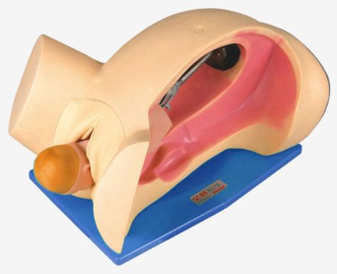 GD/F6 Delivery Mechanism Demonstration Simulator