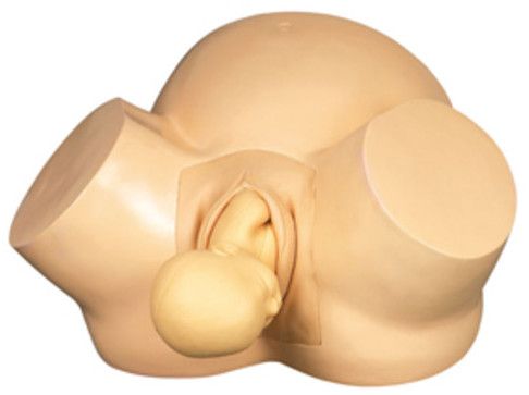 GD/F8 Vacuum Delivery Simulator