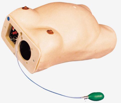 GD/FW2 Maternity Examination Simulator