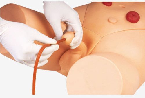 GD/H17E Catheterization Training Simulator(Male)