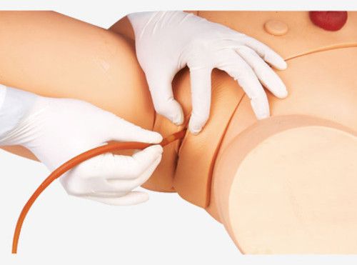 GD/H17F Catheterization Training Simulator(Female)