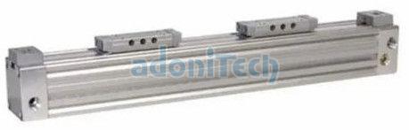 ZTS Tandem Rodless Cylinder