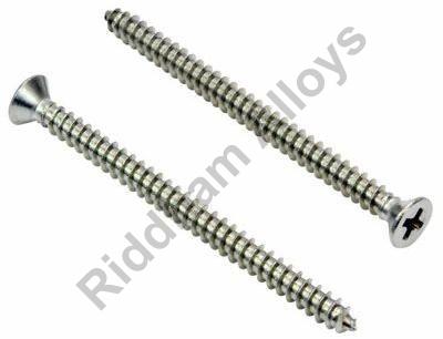 Nickel Alloy Screws
