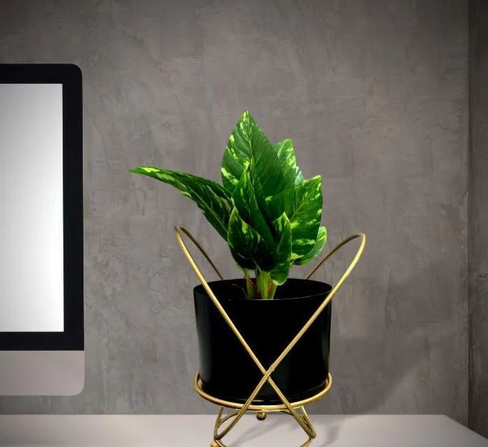 Criss Cross Designed  Metal Planter