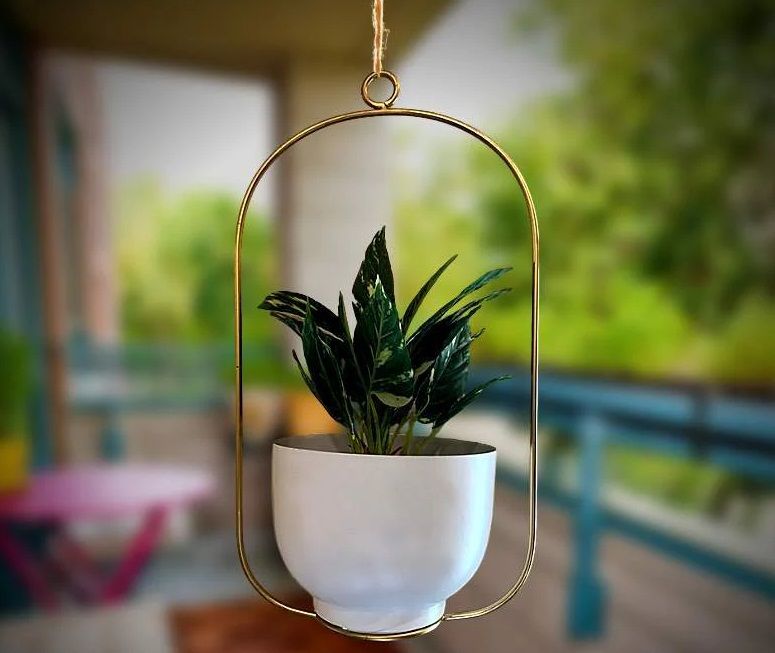 Wall Hanging Planter