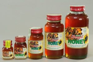 Process Honey (In Glass Bottle), Color : Golden For Foods
