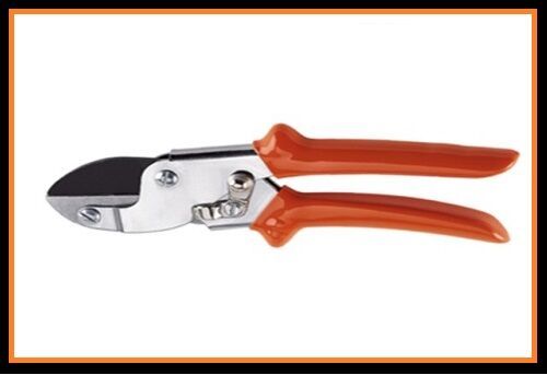 Orange Stihl Anvil Pruning Secateurs, For Home