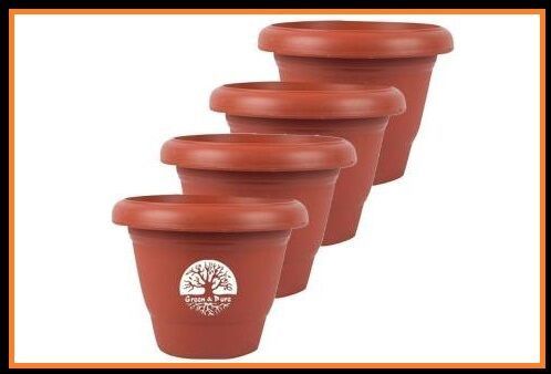plant pots