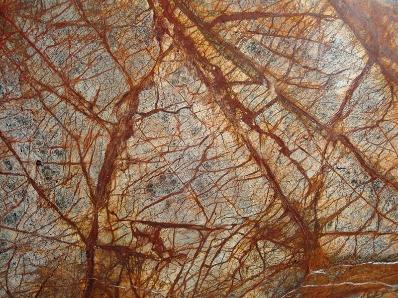 Rainforest Brown Marble