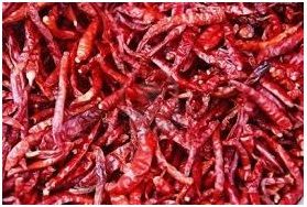 Red Chilli, Packaging Type : Desired Packing for Culinary Spice