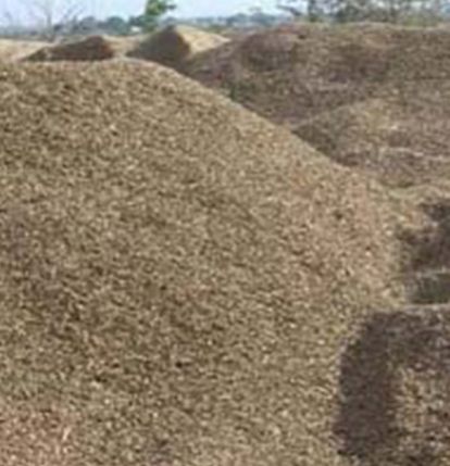 Groundnut Shell Husk