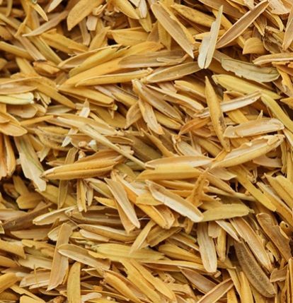rice husk