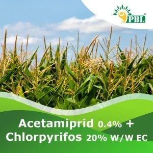 Acetamiprid 0.4% + Chlorpyrifos 20% W/w EC