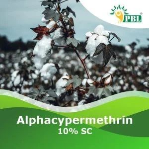 Alphacypermethrin 10% Sc