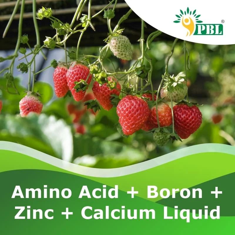 Amino Acid Boron Zinc Calcium Liquid Fertilizer