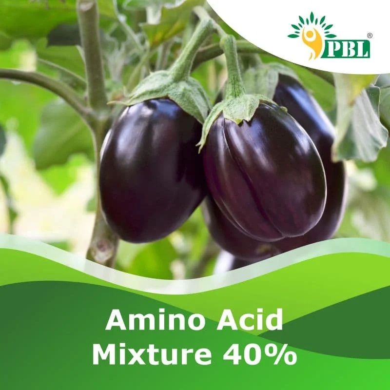 Amino Acid Mixture 40%