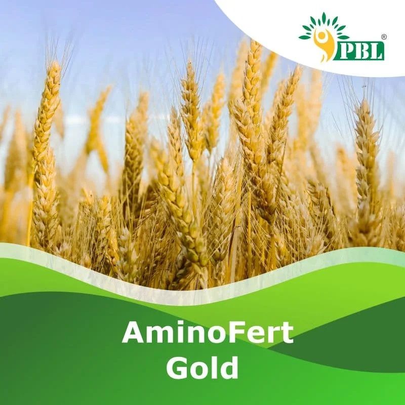 Aminofert Gold Organic Plant