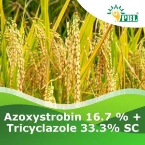Azoxystrobin 16.7 % + Tricyclazole 33.3% Sc Pesticide