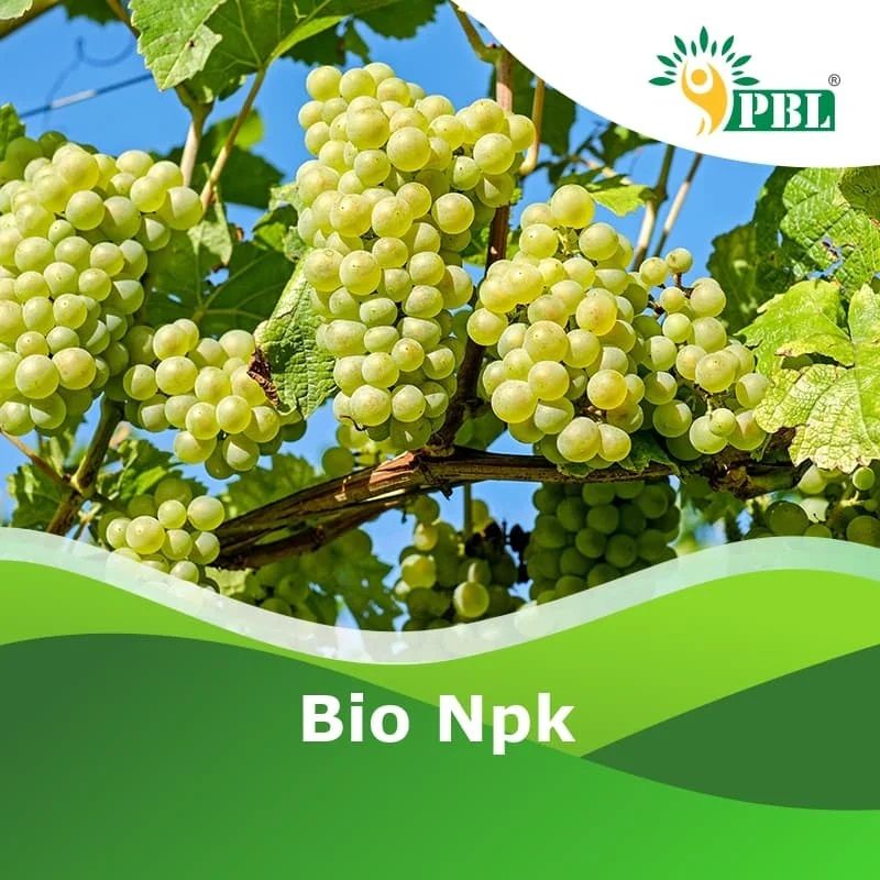 Bio NPK Consortium Fertilizer