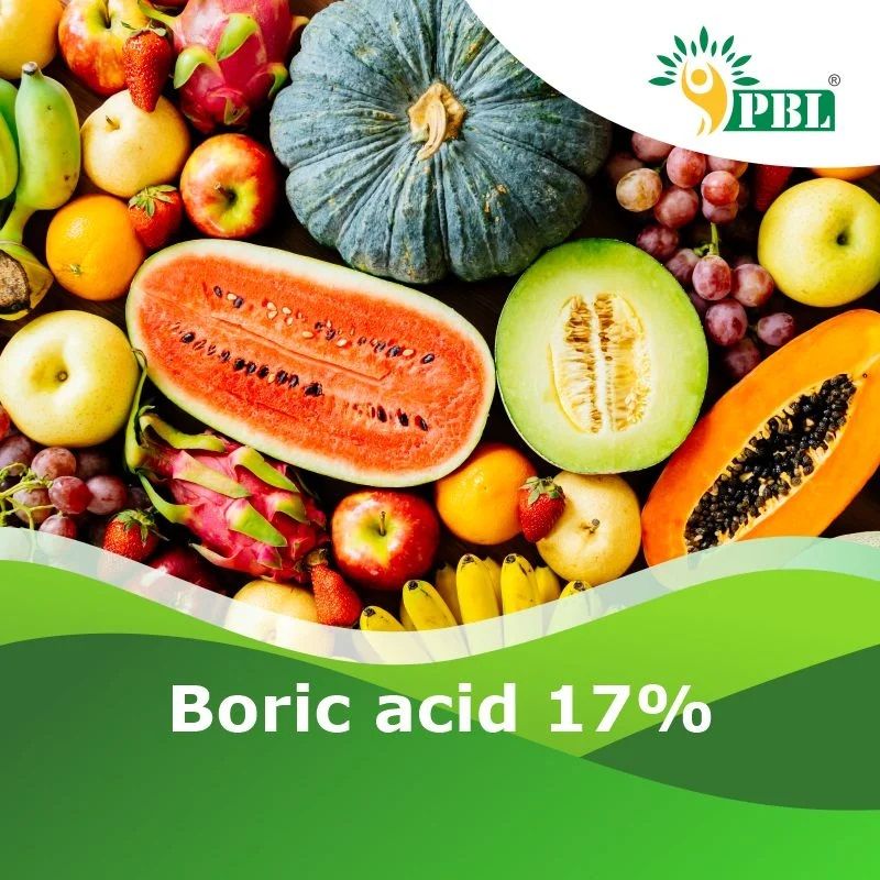 Boric Acid 17%