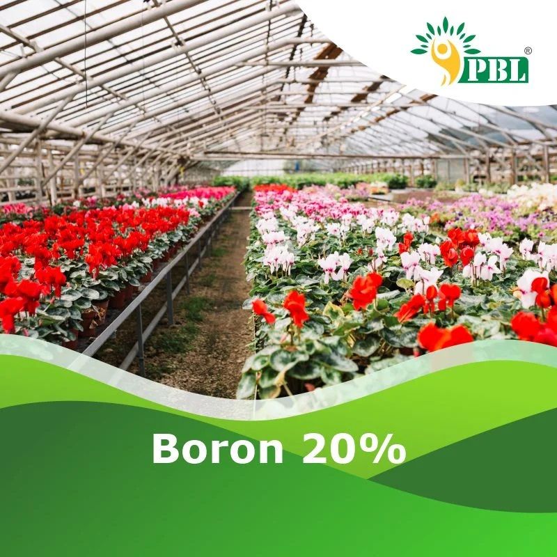 Boron 20%