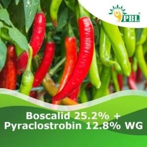 Boscalid 25.2% + Pyraclostrobin 12.8% Wg Pesticide