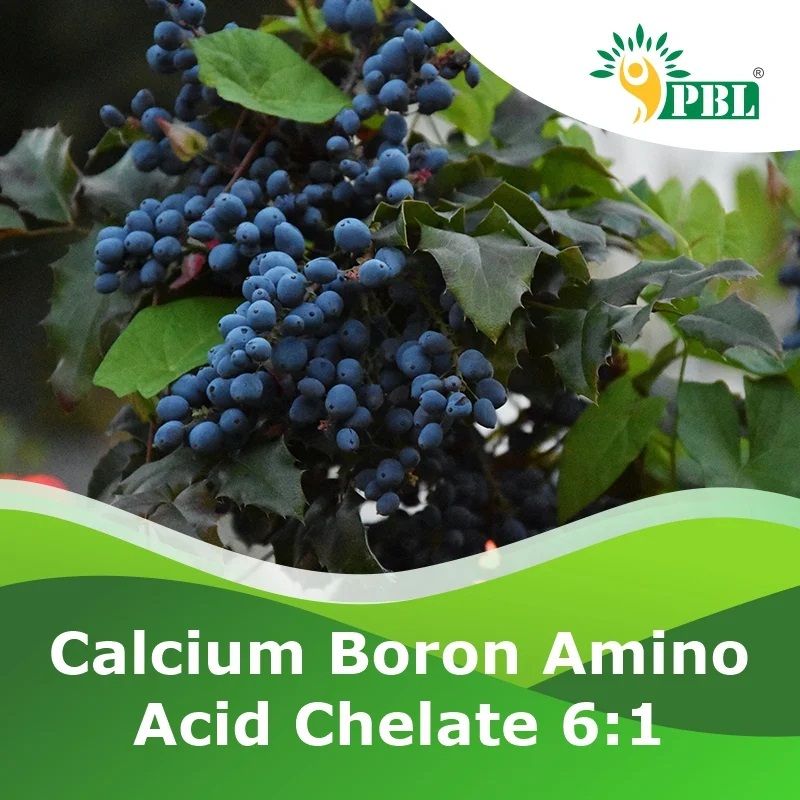 Calcium Boron Amino Acid Chelate 6:1