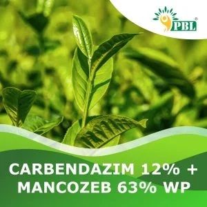 Carbendazim 12% + Mancozeb 63% Wp Pesticide