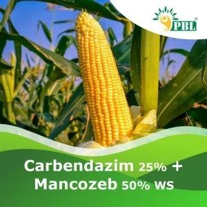 Carbendazim 25% + Mancozeb 50% Ws