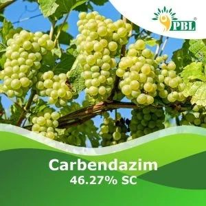 Carbendazim 46.27% Sc Pesticide