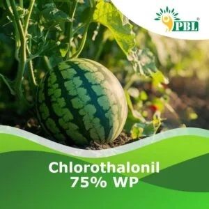 Chlorothalonil 75% Wp Pesticide