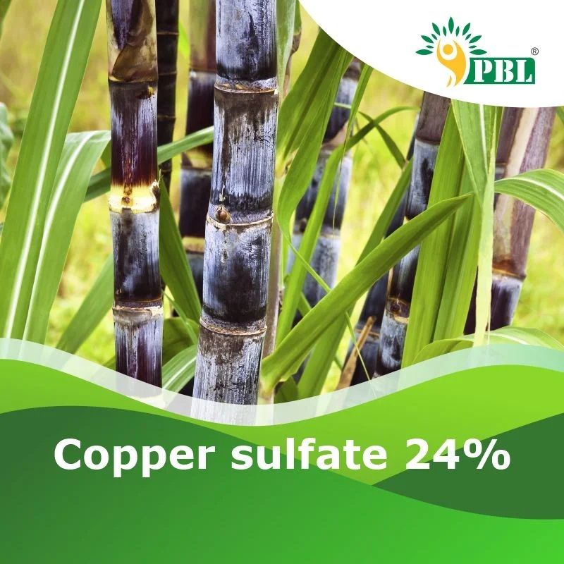 Copper Sulfate 24%