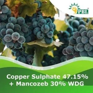 Copper Sulphate 47.15% + Mancozeb 30% Wdg Pesticide