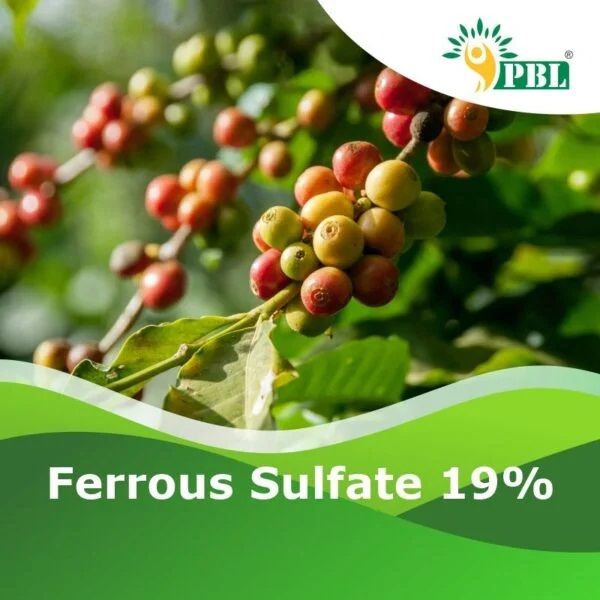Ferrous Sulfate 19%