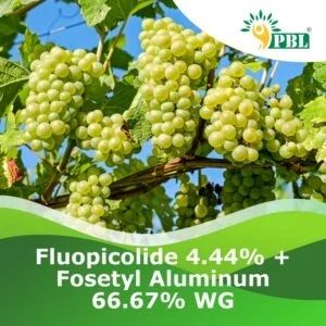 Fluopicolide Fosetyl Aluminum Wg Pesticide