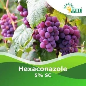 Hexaconazole 5% Sc Pesticide