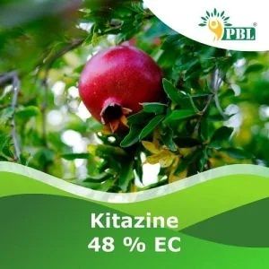 Kitazine 48 % EC Pesticide